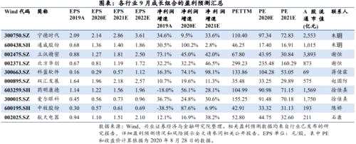 【興證策略&；；多行業(yè)】2020年9月金股組合