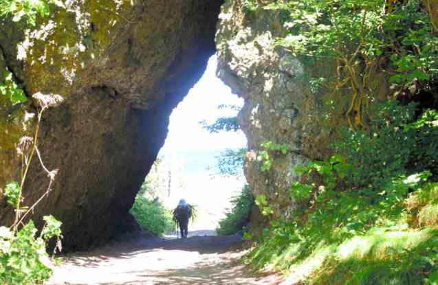 天造地设鬼斧神工 岛国一处天然洞穴入口酷似龙猫引发热议