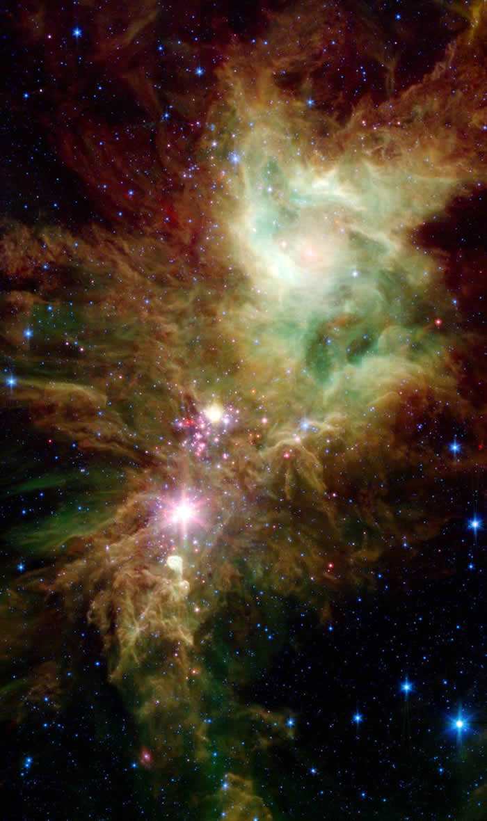 NASA“每日图片”展示“圣诞树星团(Christmas Tree Cluster)”