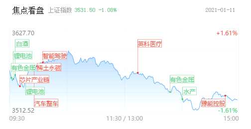 【每日收評】跌停潮！抱團主線集體殺跌，金龍魚一度大跌14% 