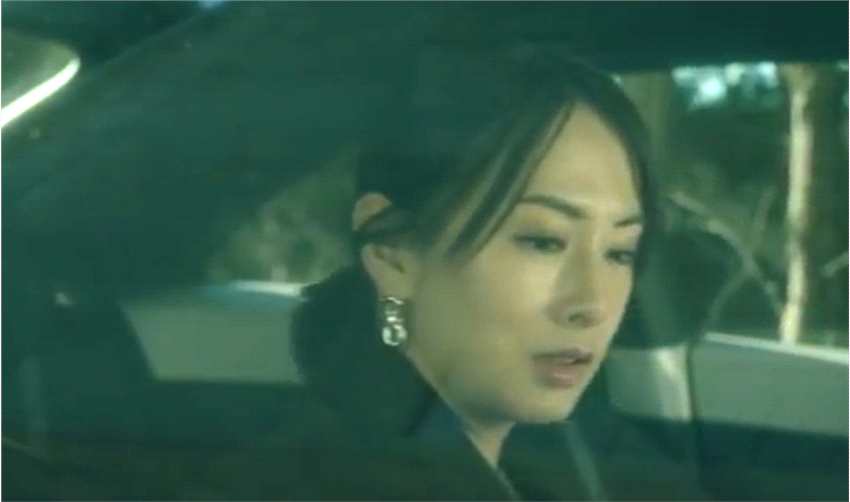 北川景子主演新电影《初恋》主题歌MV 2月11日上映