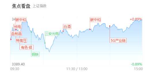 【每日收評(píng)】碳中和概念股再掀漲停潮 科技白馬股輪番跳水 