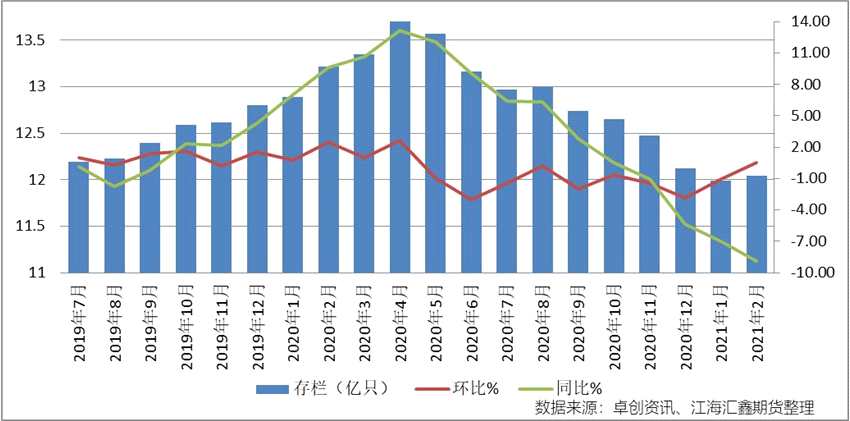 雞蛋牛市行情還能否如期而至？