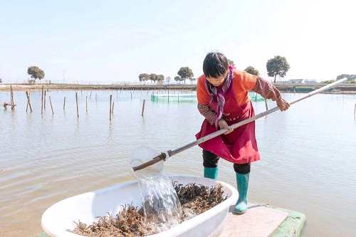 按此在新窗口瀏覽圖片