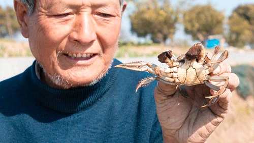 按此在新窗口瀏覽圖片