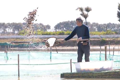 按此在新窗口瀏覽圖片