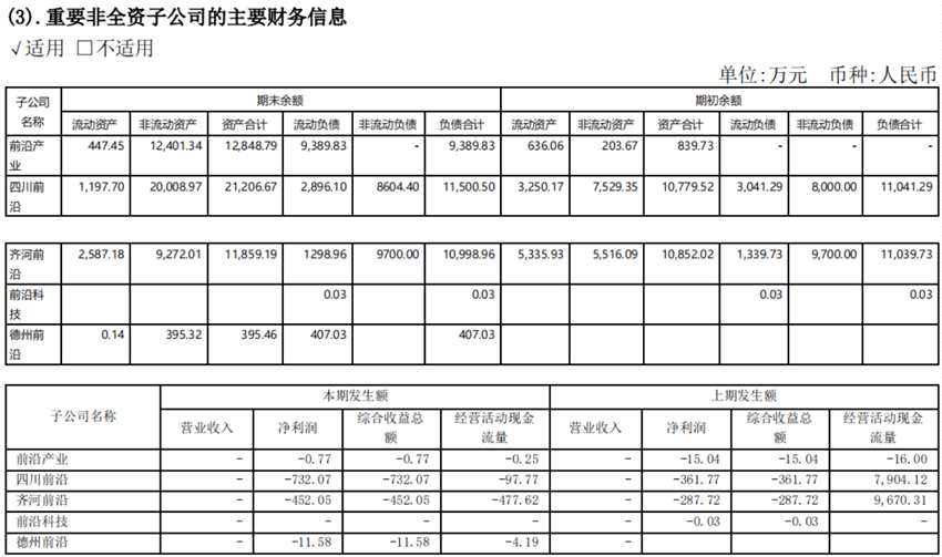來源：2020年年報 