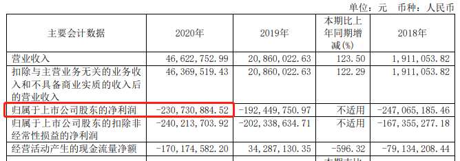 來源：2020年年報 