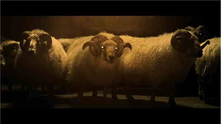 A24悬疑恐怖片《Lamb》发布官方预告 10月8日上映