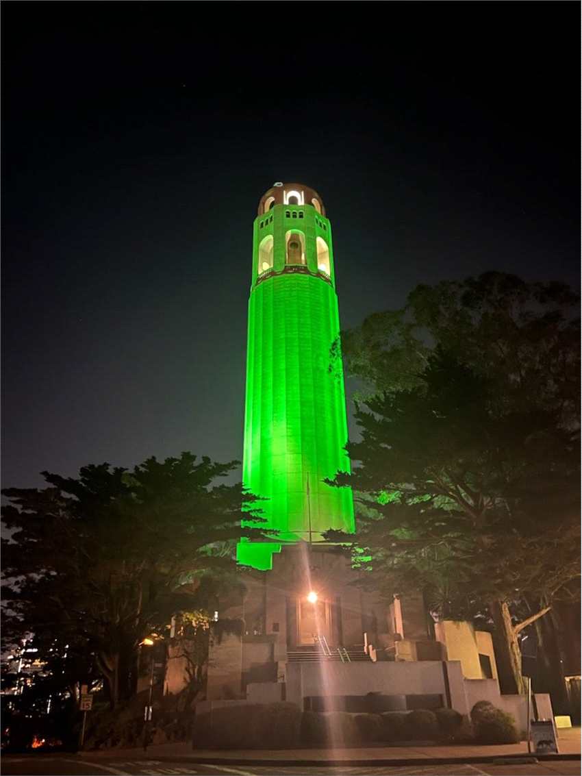 《黑客帝国：矩阵重启》首映 旧金山全城变绿