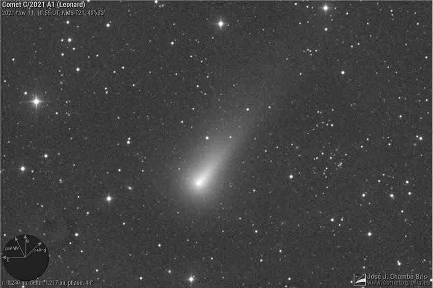 C/2021 A1 Leonard彗星现在在黎明前的天空中可见