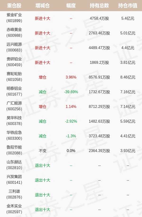 大成基金韩创旗下大成新锐一季报最新持仓，重仓赛轮轮胎