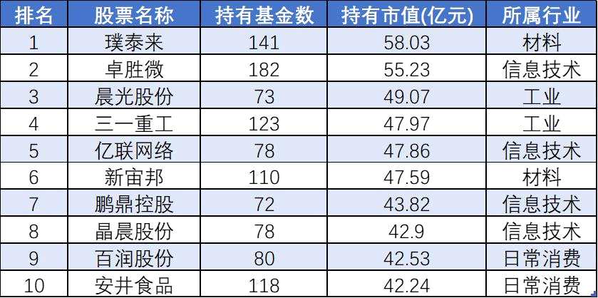 2021年基金隐藏重仓股TOP10