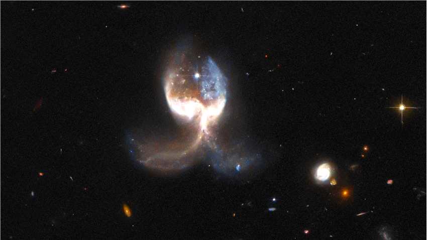 哈勃太空望远镜拍摄的天使之翼——合并星系VV689