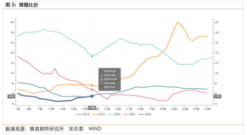 徽商期货-生猪-5月31日