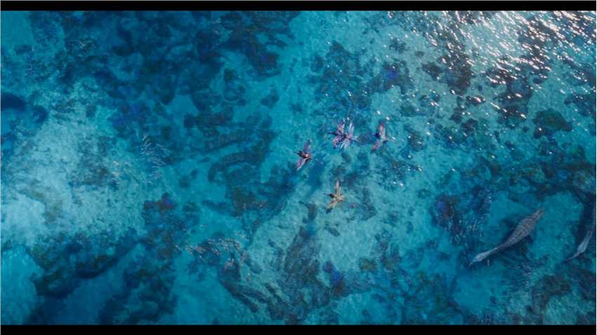 《阿凡达2：水之道》首支先导预告泄露 年底北美上映