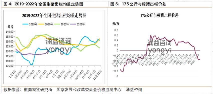 徽商期货-生猪-5月31日