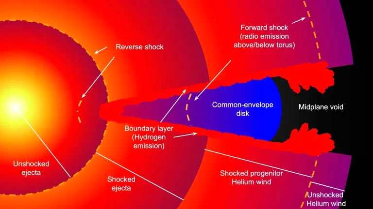 SN 2014C：非凡超新星的多波长合成
