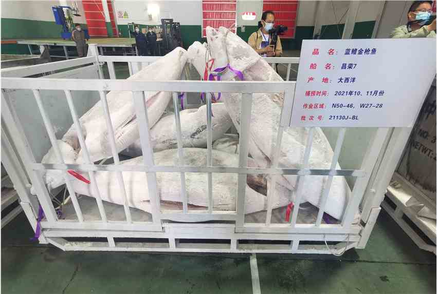 中魯B：立足國企優(yōu)勢 延伸金槍魚產(chǎn)業(yè)鏈條