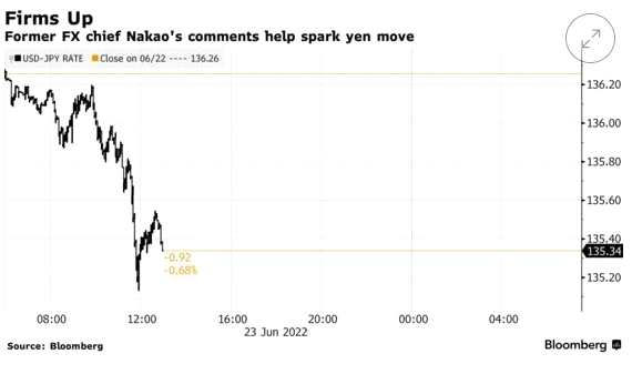 前外汇政策负责人Takehiko Nakao的言论刺激了日元的波动