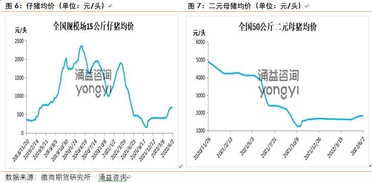 點(diǎn)擊看大圖 徽商期貨-生豬-6月7日