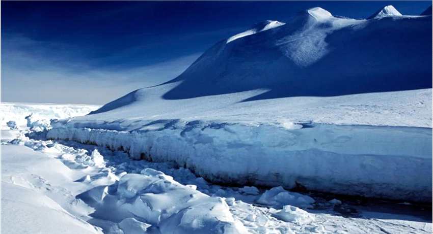 富国王园园：深耕大消费十年，终成“滚雪球”女王