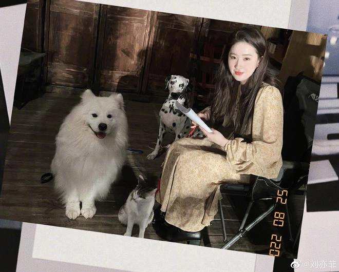 刘亦菲晒35岁庆生照 妆容精致猫狗在身旁陪看剧本