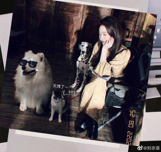 刘亦菲晒35岁庆生照 妆容精致猫狗在身旁陪看剧