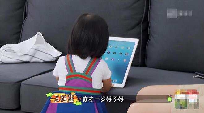 王祖蓝全家移居上海 大女儿读国际学校学费近30万