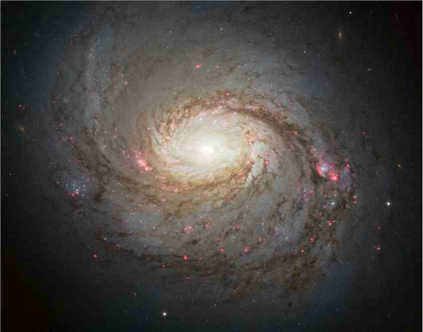 冰立方中微子观测站发现银河系附近的活跃星系NGC 1068会发射高能量中微子
