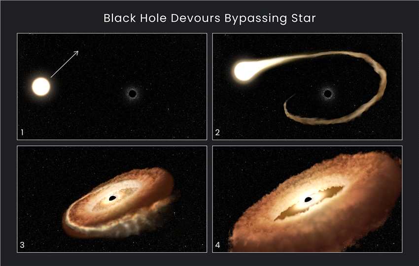 AT2022dsb：饥饿黑洞将捕获的恒星扭曲成甜甜圈形状