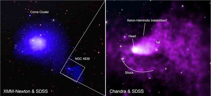 NGC 4839：星系深度俯冲，留下炽热的尾巴