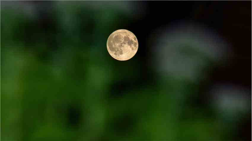 今年的第一个超级月亮——满月令全世界的天文爱好者兴奋不已