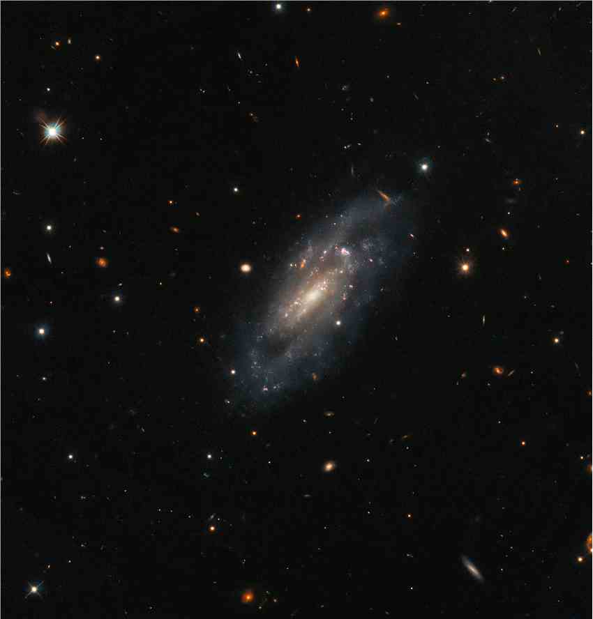 哈勃太空望远镜拍摄的飞马座螺旋星系UGC 11860