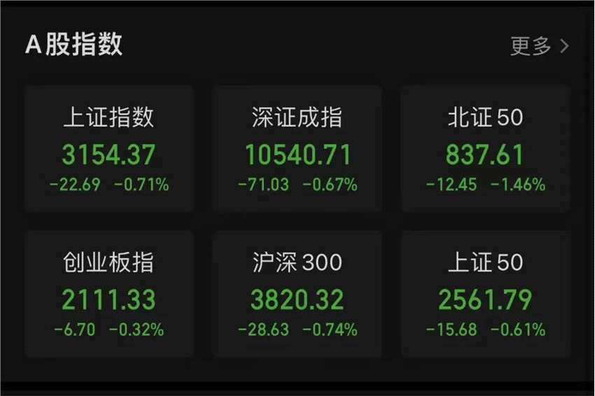 A股市场震荡调整 今年以来全球最大规模IPO来了