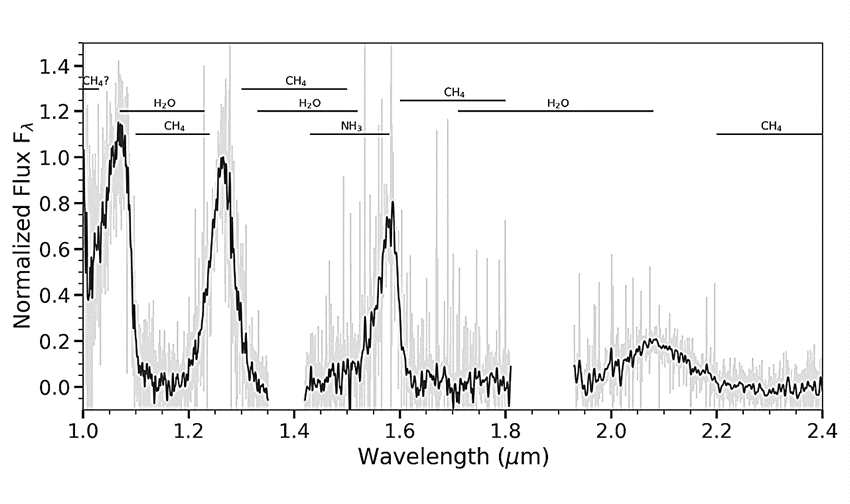 观测发现，W1055+5443是一颗Y型褐矮星