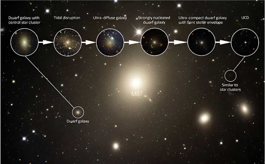 被剥夺了恒星的矮星系被证明是罕见的超致密矮星系形成过程中缺失的一环