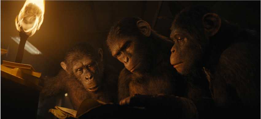 《猩球崛起4》新剧照公布 大猩猩好奇翻阅书籍