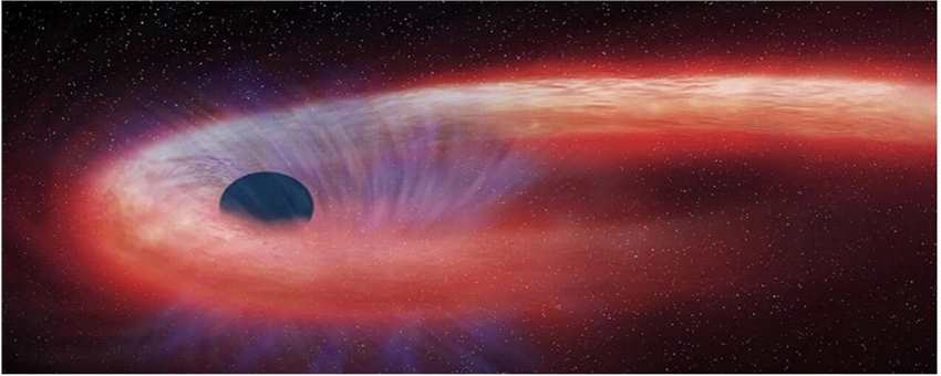潮汐破裂事件及其对遥远星系中黑洞和恒星的揭示