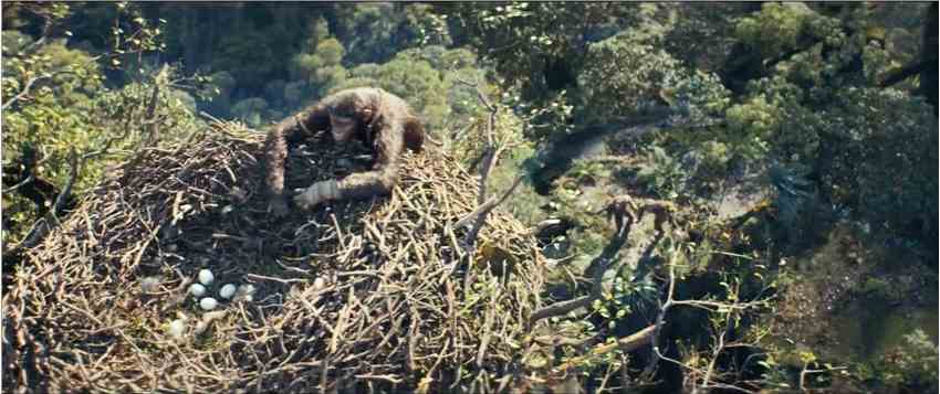 《猩球崛起4：新世界》7分钟加长版片段曝光