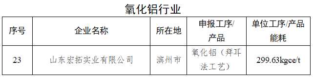 1家氧化鋁企業(yè)擬入選2024年度省級重點行業(yè)能效“領(lǐng)跑者”名單