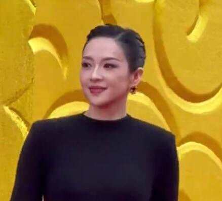 章子怡亮相华表奖红毯 气场全开