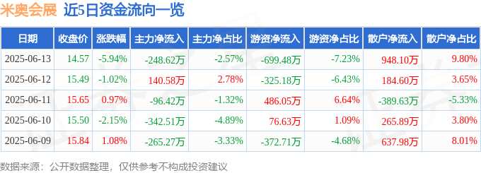 米奥会展（300795）6月13日主力资金净卖出248.62万元