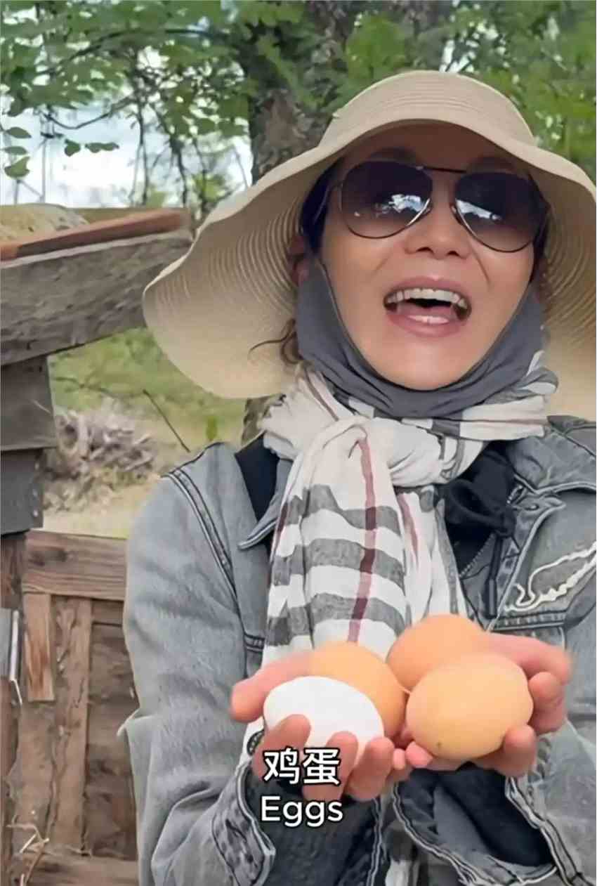 张曼玉分享法国农村生活日常:养鸡种地 捡鸡蛋