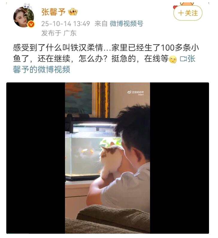 张馨予晒丈夫养鱼视频：家里生了100多条小鱼