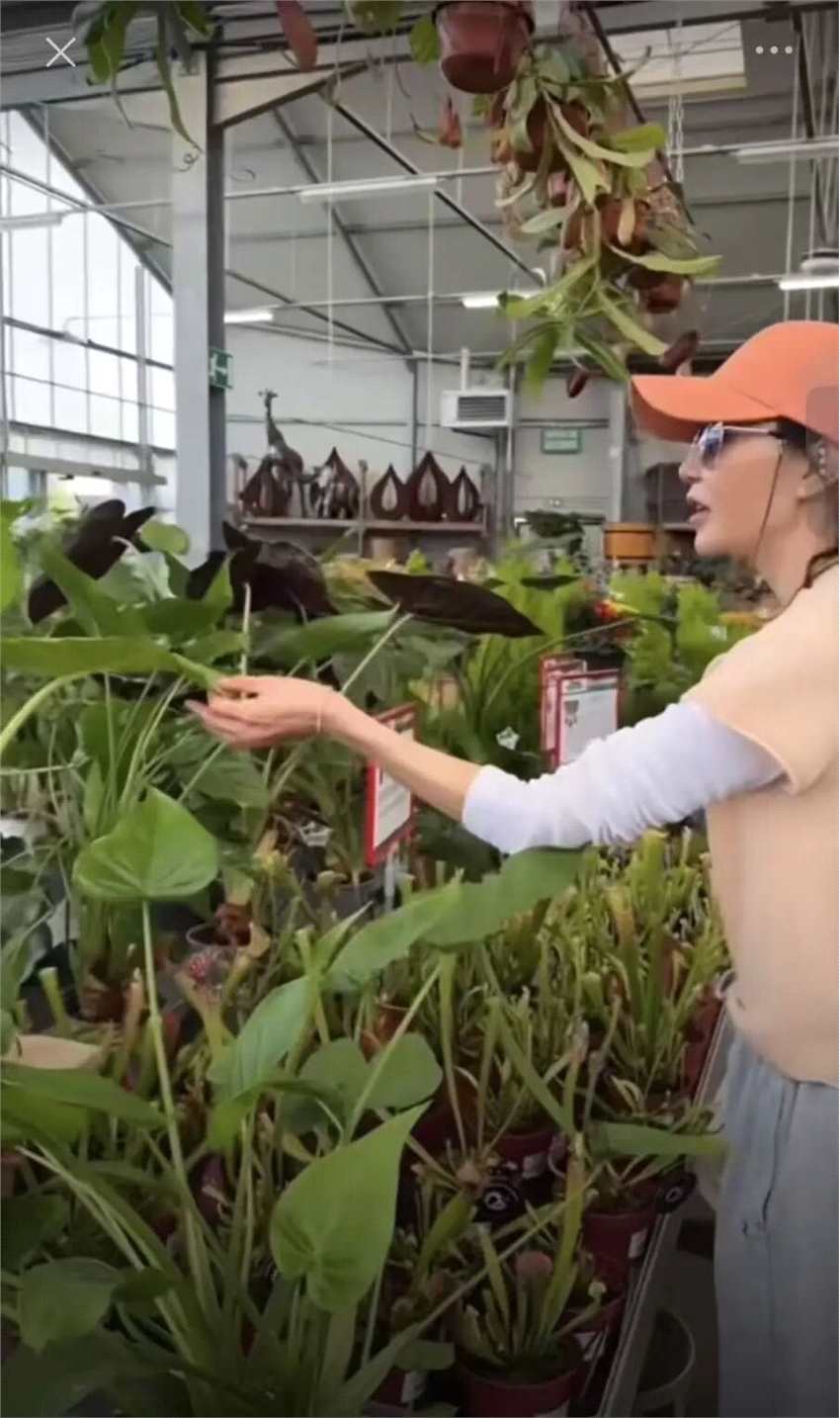 60岁张曼玉迷上当园丁 表示:好开心 好好玩