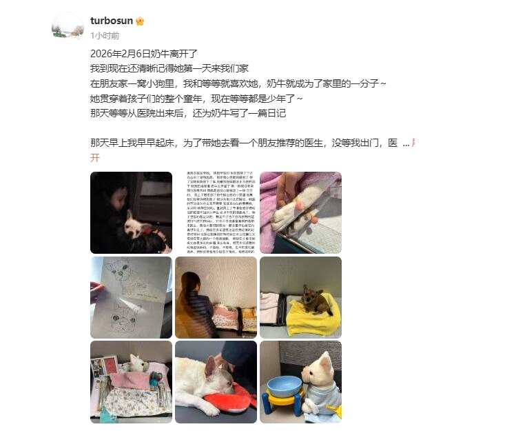 孙俪家小狗“奶牛”去世 女儿小花痛哭