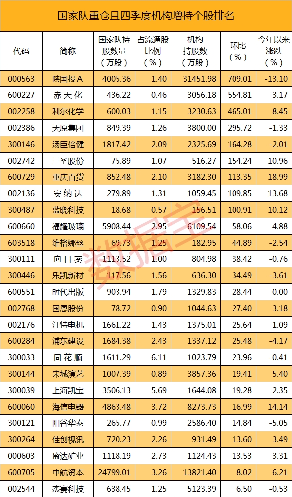 國家隊持股_副本 
