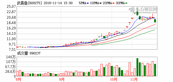 K图 600275_1