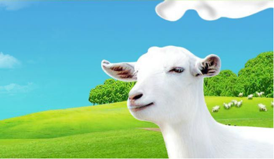 澳優(yōu)乳業(yè)(01717)表示，將積極發(fā)展羊奶市場。該公司首席財務(wù)官王煒華指出，目前中國羊奶銷售額每年增長達(dá)30%，受二胎政策、國家對乳業(yè)重新認(rèn)定而減少供應(yīng)的影響，中國羊奶銷售未來仍能保持增長，升幅或?qū)⒏哂谂Ｄ獭?>　　澳優(yōu)乳業(yè)(01717)表示，將積極發(fā)展羊奶市場。該公司首席財務(wù)官王煒華指出，目前中國羊奶銷售額每年增長達(dá)30%，受二胎政策、國家對乳業(yè)重新認(rèn)定而減少供應(yīng)的影響，中國羊奶銷售未來仍能保持增長，升幅或?qū)⒏哂谂Ｄ獭?/p><p>　　目前澳優(yōu)乳業(yè)在中國進(jìn)口羊奶市場的占有率達(dá)60%。王煒華指出，羊奶敏感成分較少，營養(yǎng)更為豐富，更適合亞洲人飲用。</p><p>　　中國對于乳品業(yè)實行注冊管理重新認(rèn)證，以淘汰欠缺研發(fā)能力的廠商，王煒華預(yù)計，內(nèi)地銷售的乳業(yè)品牌明年將大幅削減，由目前的2000多個品牌，減至600個。受中國二胎政策的影響，王煒華認(rèn)為，在未來2至3年將逐步浮現(xiàn)增長，他預(yù)計行業(yè)將保持每年10%的需求增長。</p><p>　　面對生育人口增加，供應(yīng)商減少，王煒華指該公司有信心保持產(chǎn)品品質(zhì)，提升銷售表現(xiàn)。</p><p>　　不僅如此，該公司還將加碼海外市場。由于澳優(yōu)乳業(yè)去年開始逐步進(jìn)軍海外市場，因此，王煒華預(yù)計該公司在內(nèi)地銷售比重，將由現(xiàn)在超過80%的目標(biāo)減至65%。</p><p>　　此外，王煒華指，澳優(yōu)乳業(yè)投資9500萬歐羅建設(shè)荷蘭新廠房，將于2017年第二季完成，預(yù)計在荷蘭乳業(yè)產(chǎn)能可由原本的每年3萬噸，增加到2019年前逐步至9萬噸，澳優(yōu)乳業(yè)目前已經(jīng)鎖定荷蘭40%奶源。</p><p>　　澳優(yōu)乳業(yè)的嬰兒第一階段羊奶產(chǎn)品，也已向美國申請進(jìn)口許可，有望年底可以取得認(rèn)證，王煒華稱，若取得認(rèn)證，澳優(yōu)乳業(yè)羊奶市場將快速增長。</p></p>
		             </div>
           <a><script type=